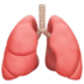 Mejora la respiración